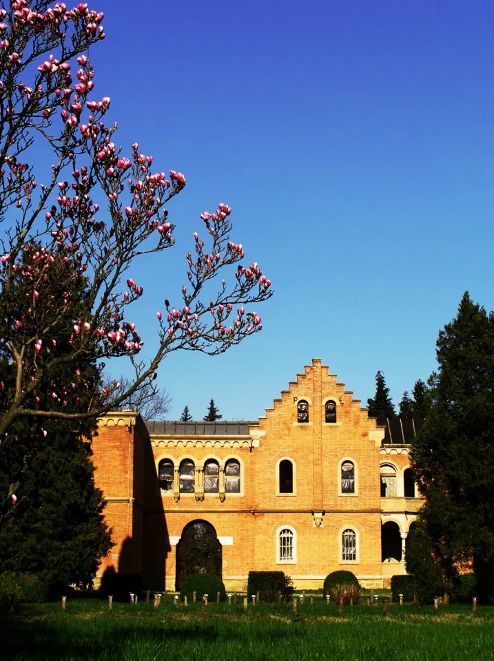 Vedere din zona Lilieci, Bacău