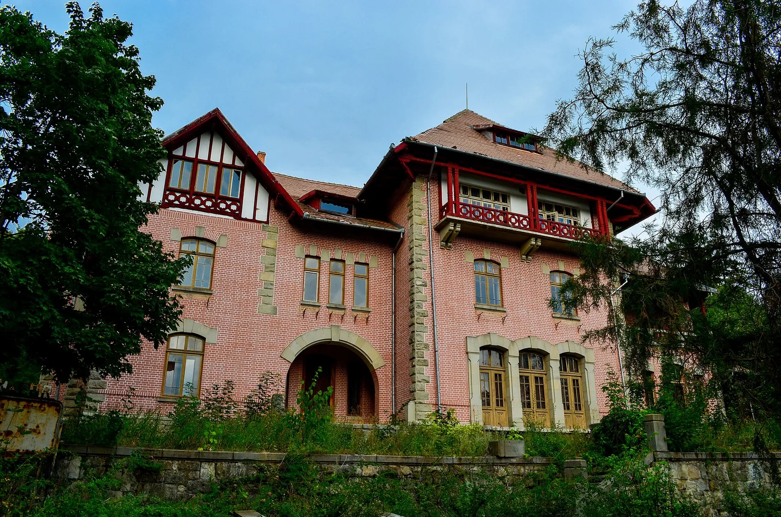 Vedere din zona Dărmănești, Bacău