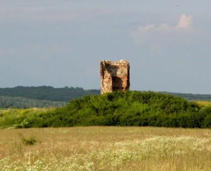 Vedere din zona Sălard, Bihor