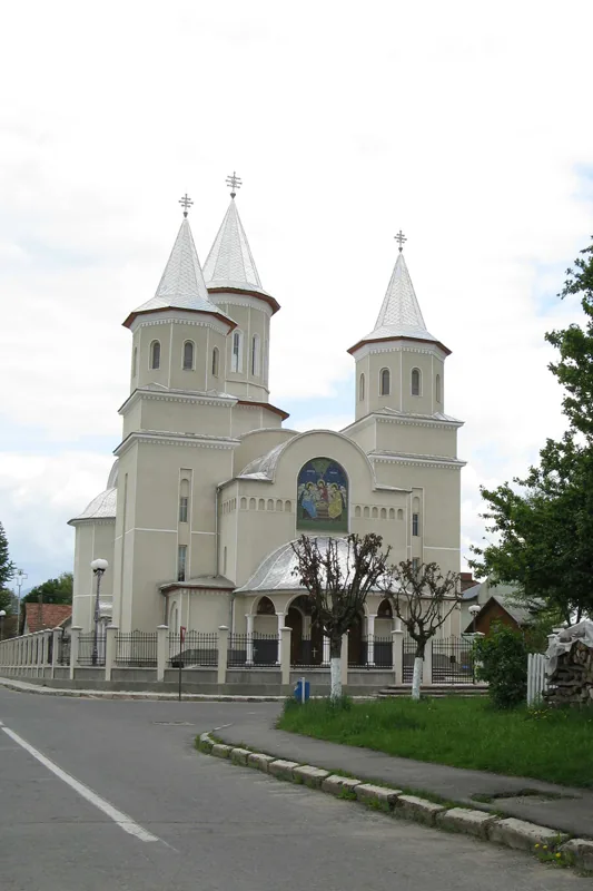 Vedere din zona Ștei, Bihor