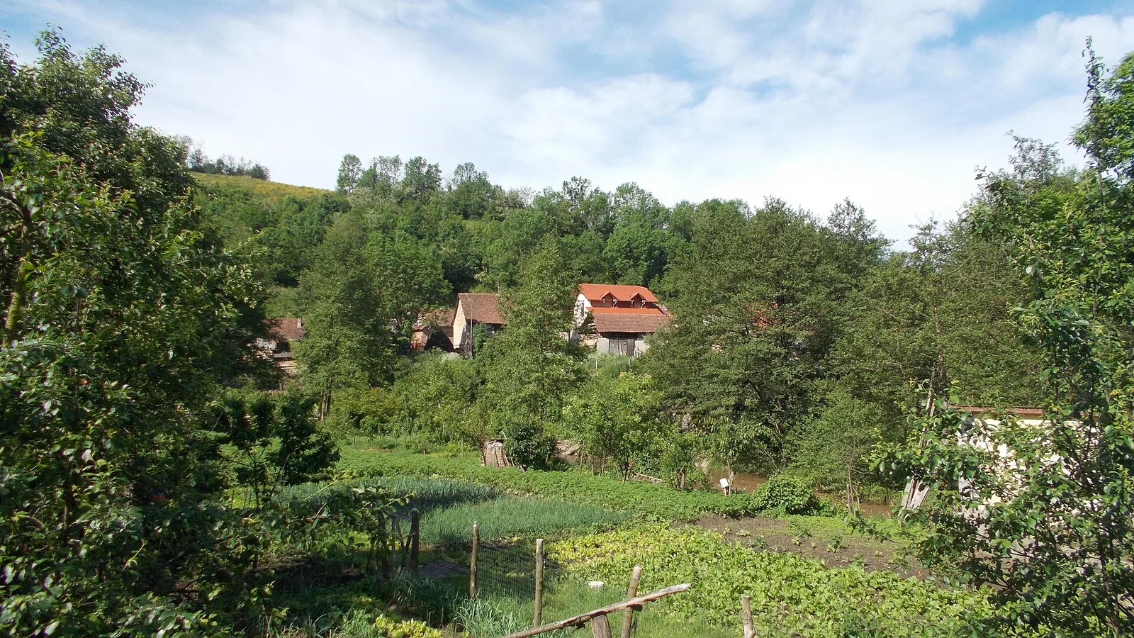 Vedere din zona Prigor, Caraș-Severin