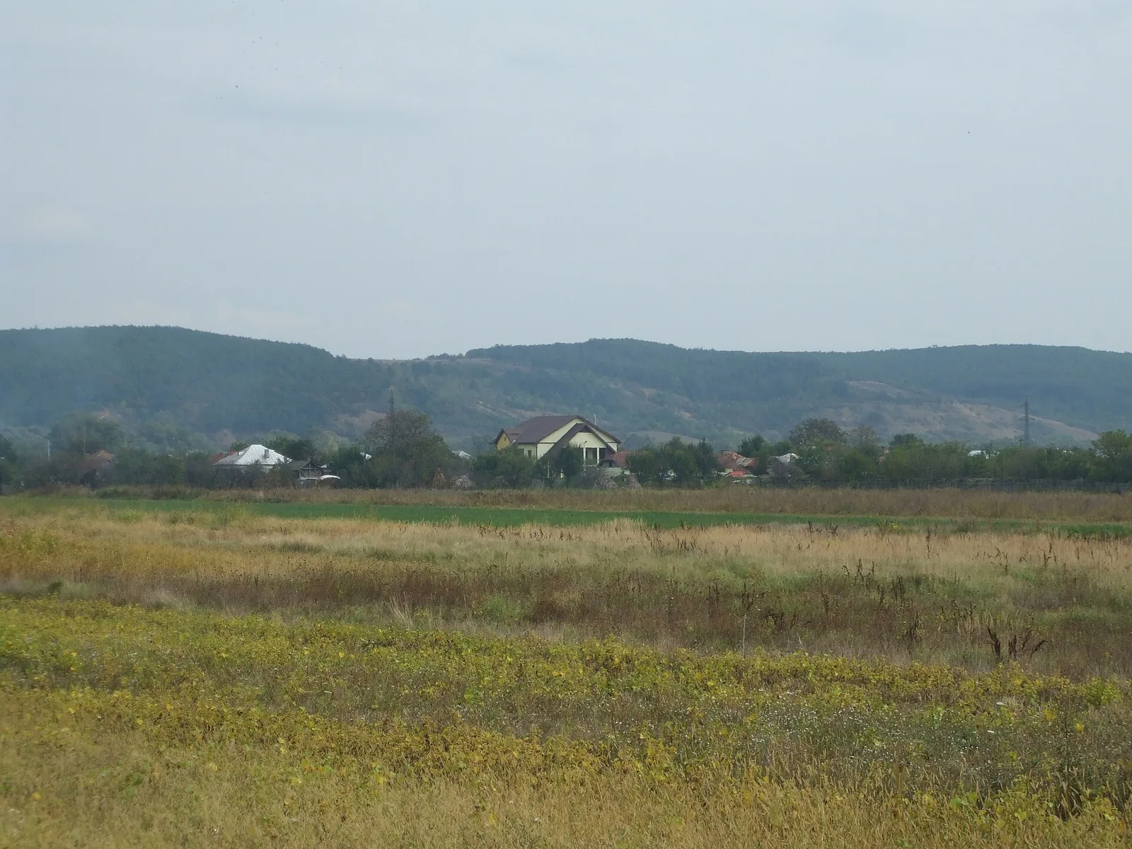 Vedere din Negoiești, comuna Melinești, județul Dolj