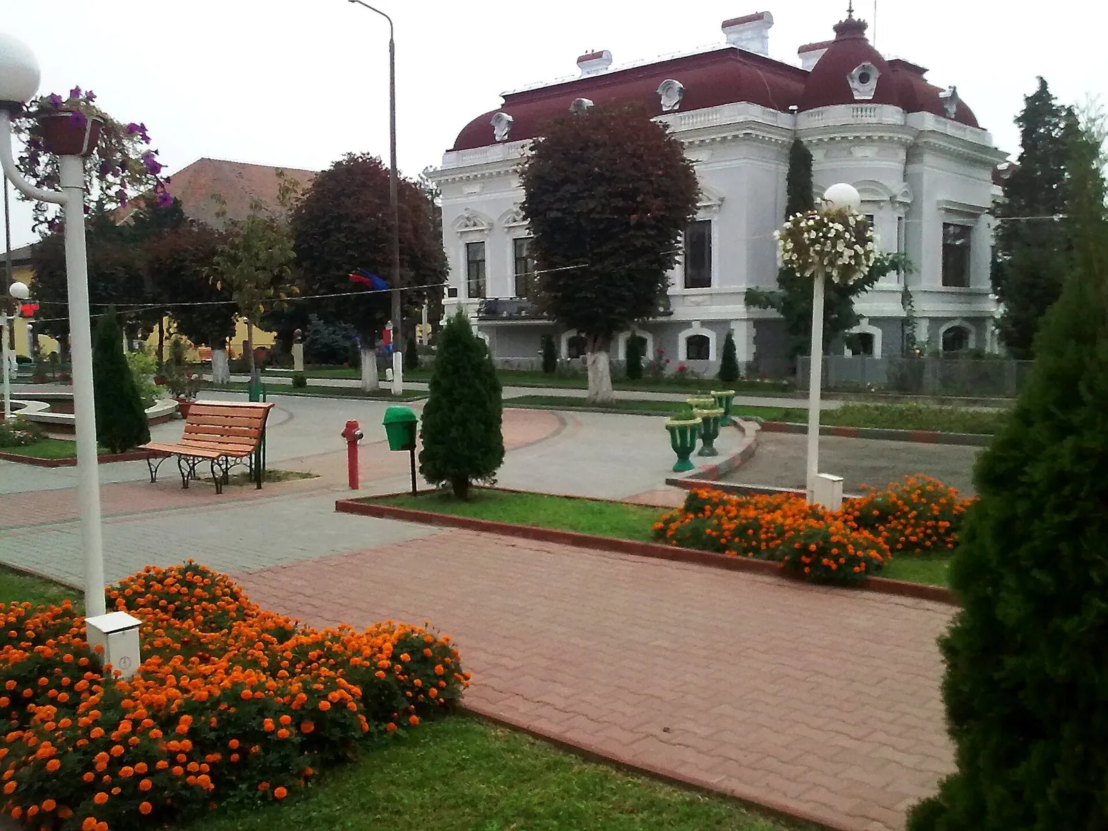 Vedere din zona Calafat, Dolj