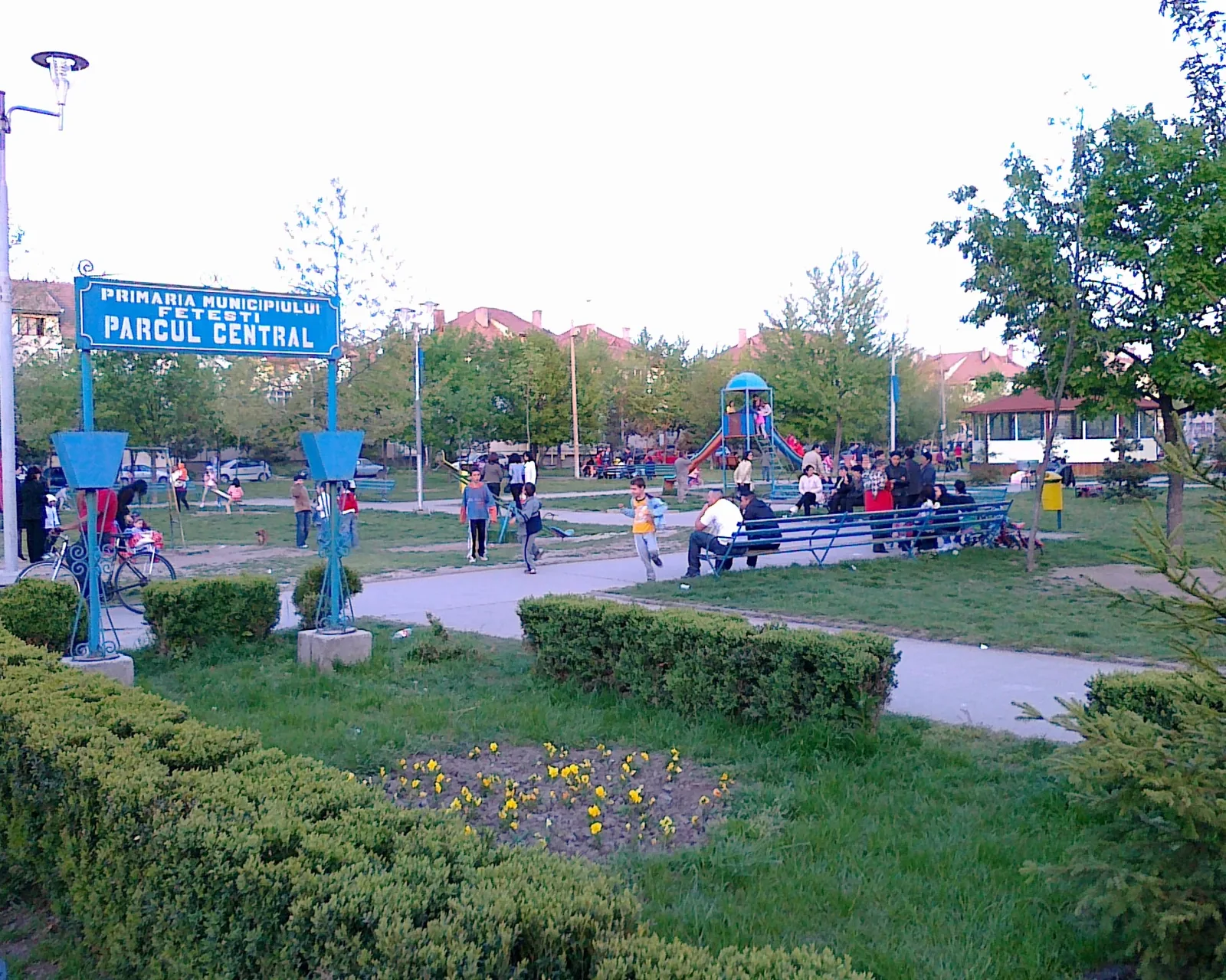 Vedere din zona Fetești, Ialomița