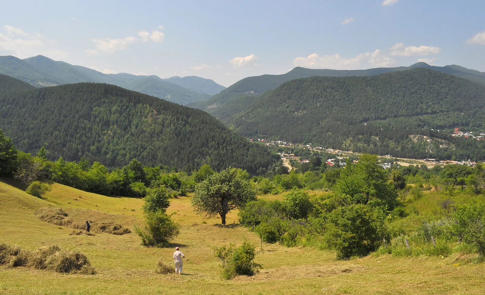 Vedere din zona Tulnici, Vrancea