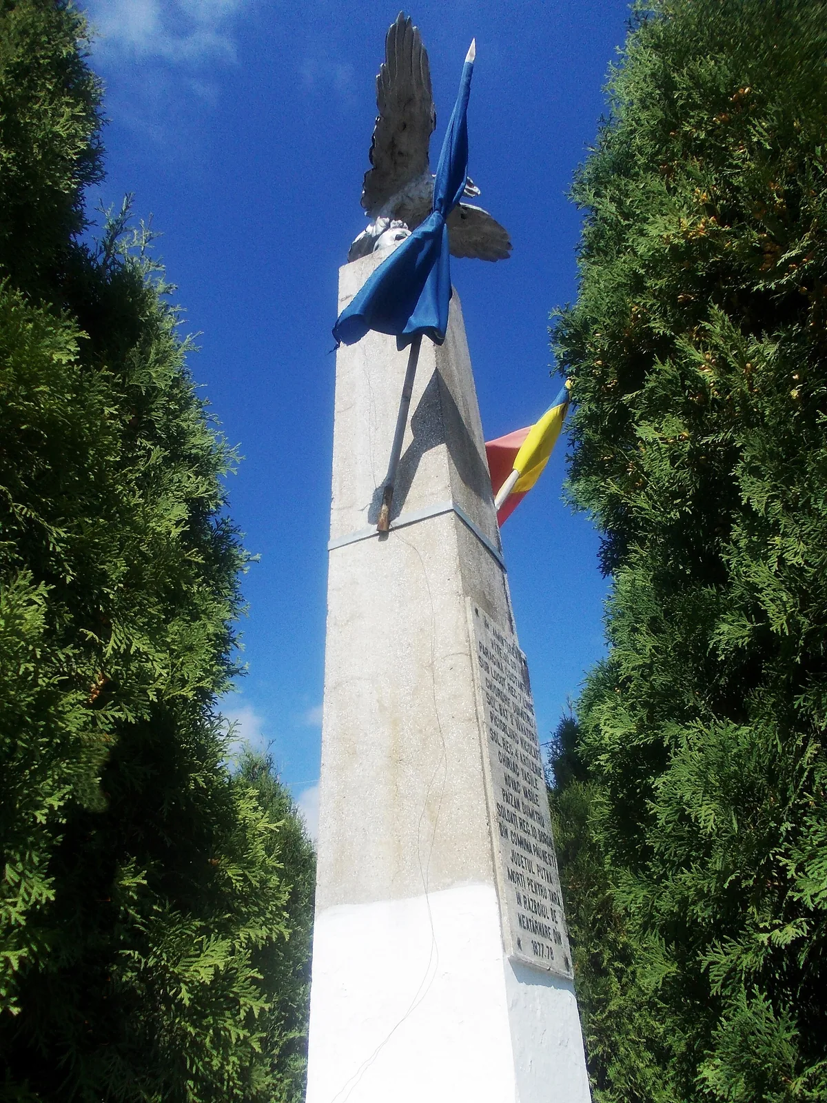 Vedere din zona Păunești, Vrancea